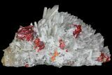 Realgar On Quartz Crystal Cluster - Peru #89356-3